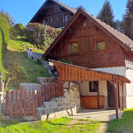 Apartman Albrecht Albrechtice v Jizerskych horach Exterior foto