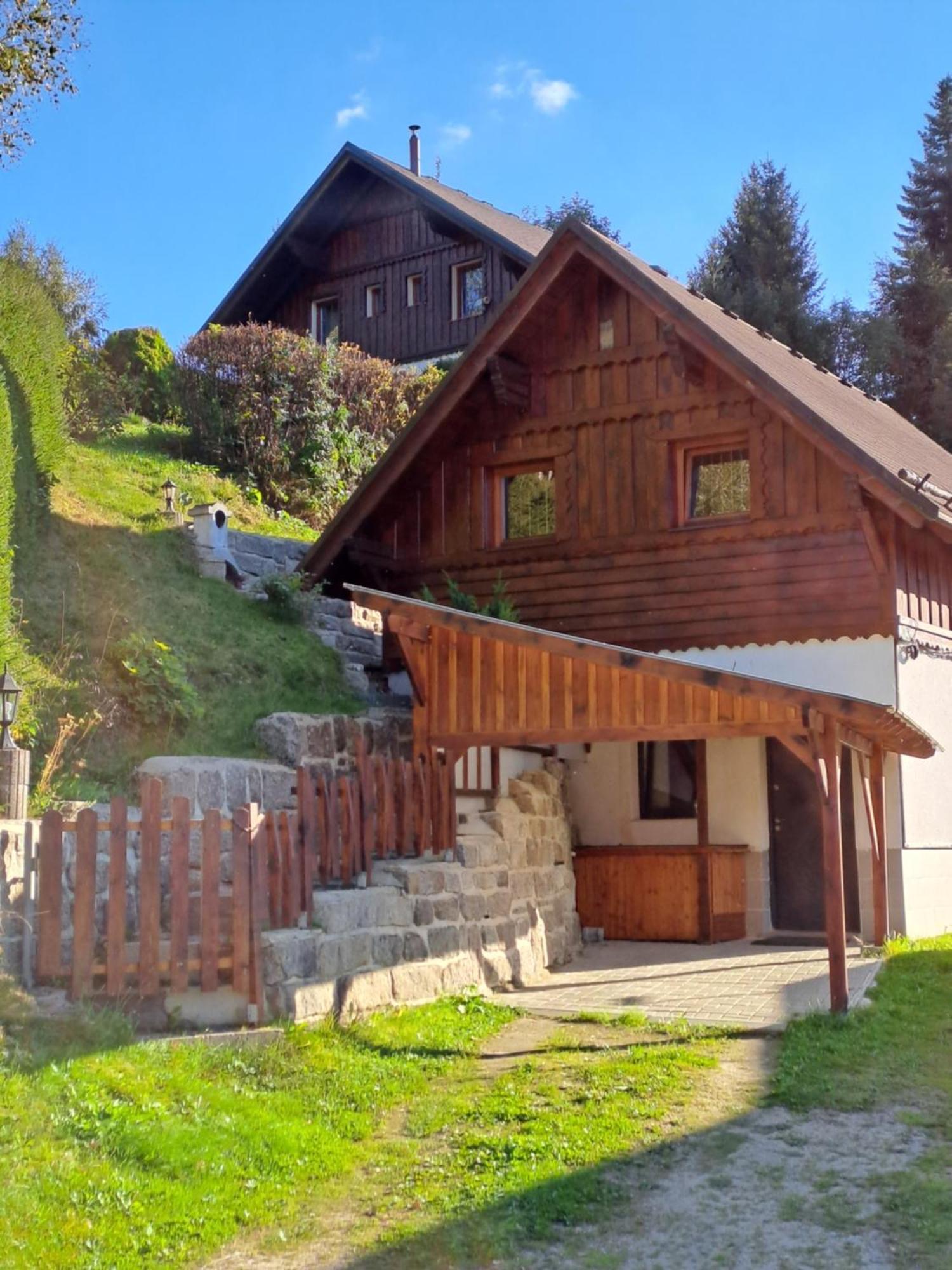 Apartman Albrecht Albrechtice v Jizerskych horach Exterior foto